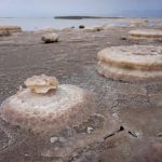 Salty-is-the-Dead-Sea