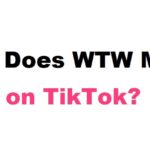 What Does WTW Mean on TikTok